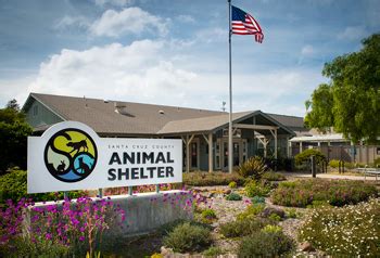 Santa cruz county animal shelter - Don’t forget that you can designate the Santa Cruz County Animal Shelter to receive a portion of EVERY Amazon purchase you make by naming us as your Amazon Smile beneficiary!) ... 1001 Rodriguez St., Santa Cruz 95062 OPEN TO THE PUBLIC: Seven days/week, 11am-6pm* Adoptions end at 5! Meet & greets must be before 4:45.